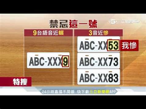 車牌號碼 意思|台灣車牌分類查詢、顏色、號碼編排、特殊標誌、尺寸。